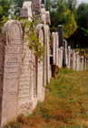 Sírok a balassagyarmati zsidó temetőben